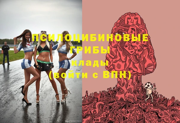 прущий лед Армянск