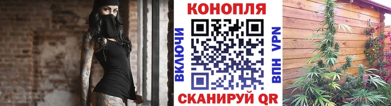 купить наркотик  Тара  Каннабис ГИДРОПОН 